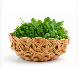 جایگزین